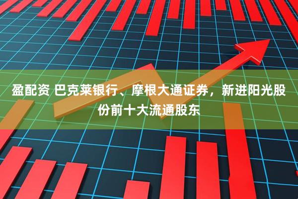 盈配资 巴克莱银行、摩根大通证券，新进阳光股份前十大流通股东