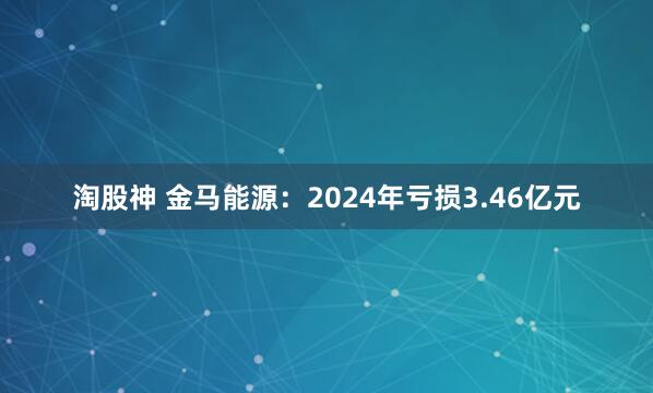 淘股神 金马能源：2024年亏损3.46亿元