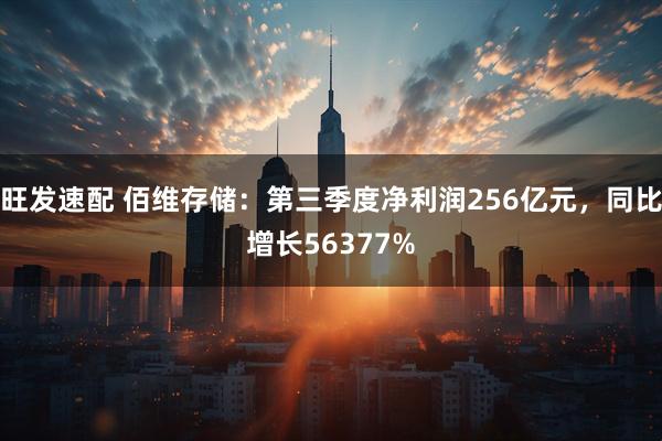 旺发速配 佰维存储：第三季度净利润256亿元，同比增长56377%